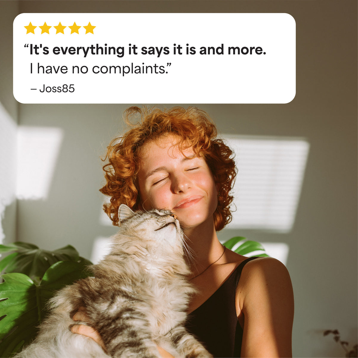 Fresh Step Non-Clumping Multi-Cat Premium Clay Cat Litter, Febreze Freshness Scent, 35 lb Bag — product image 6