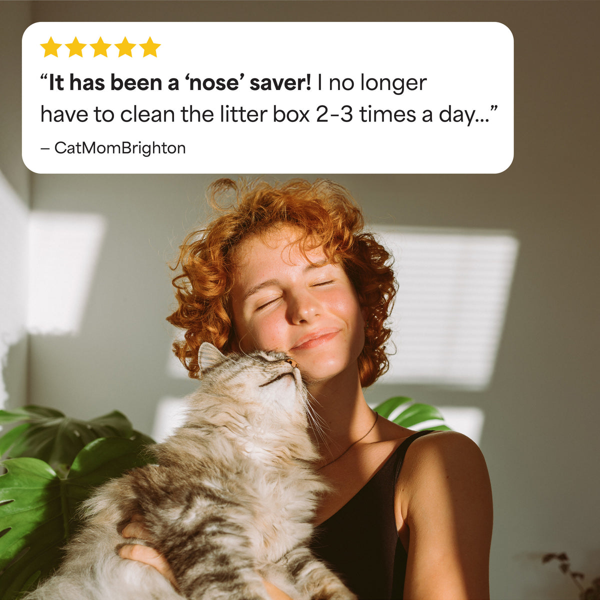 Fresh Step Simply Multi-Cat Clumping Cat Litter, Unscented, 22 lb Box — product image 9