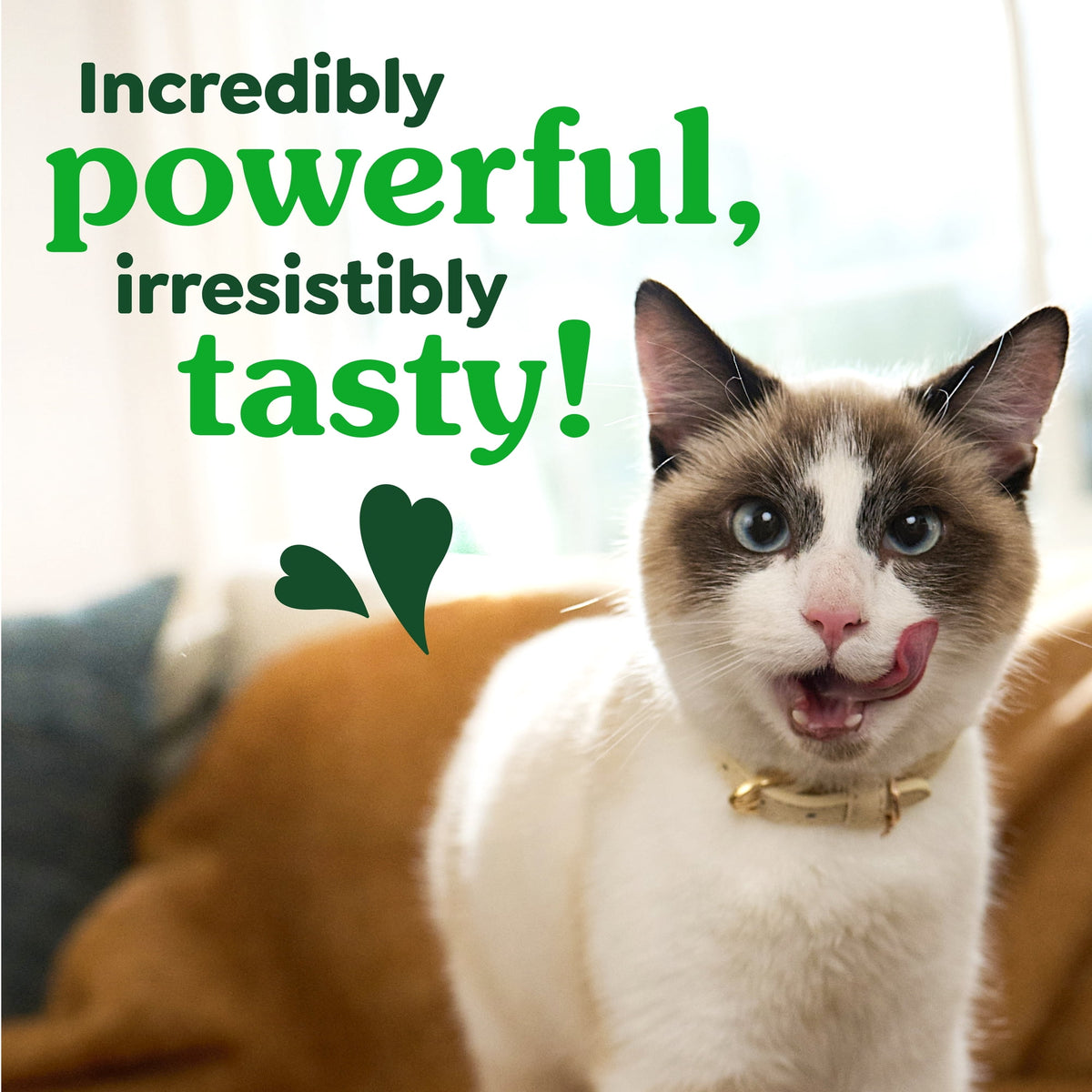 Greenies Feline Savory Salmonflavor Adult Natural Dental Cat Treats, 4.6 Oz Pouch — product image 4