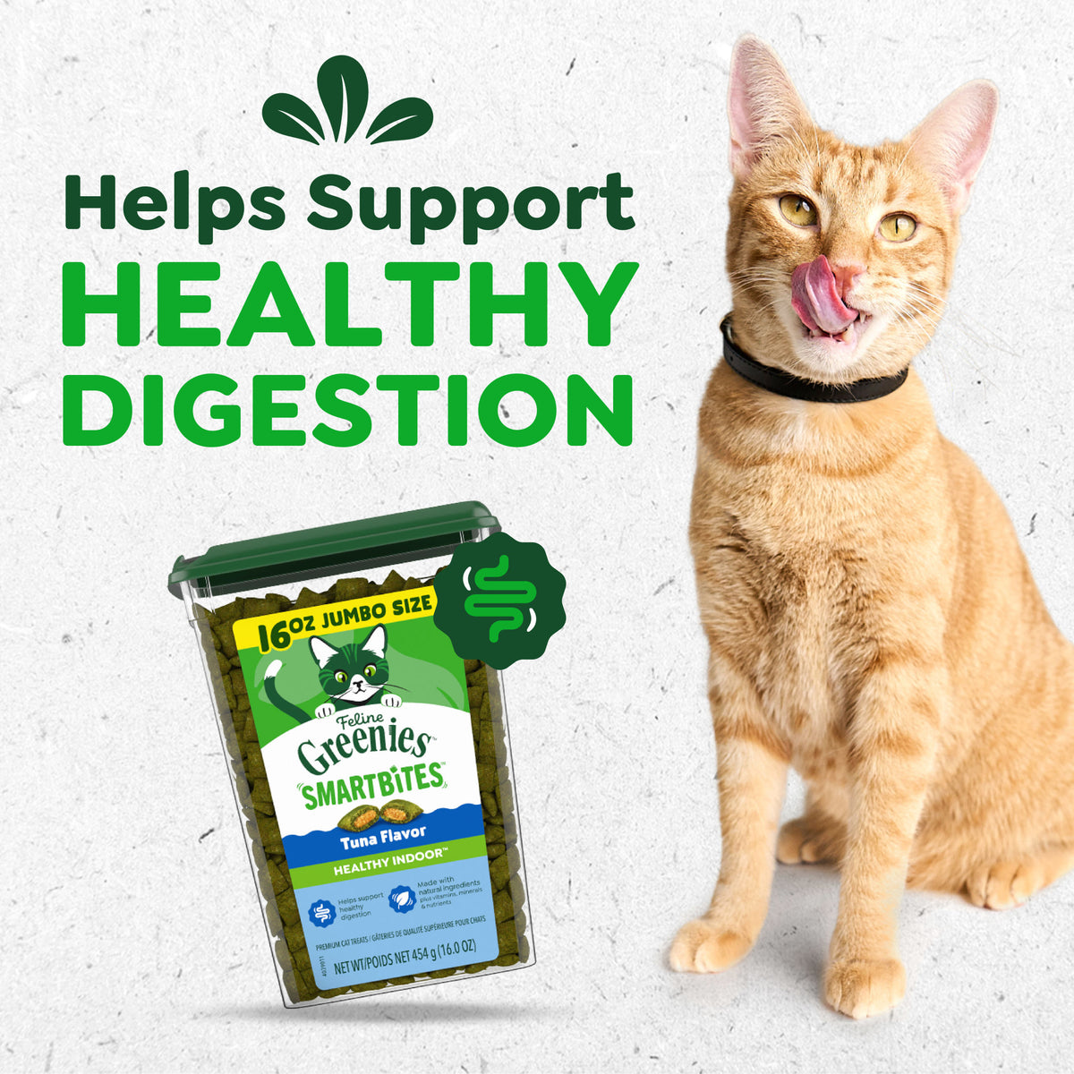 Greenies Feline Smartbites Tuna Flavor Healthy Indoor Cat Treats, 16 oz Tub — product image 3