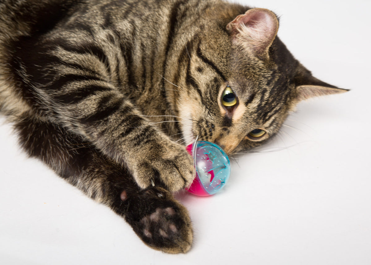 Hartz Just for Cats Bizzy Balls Cat Toy, 1ct — product image 2