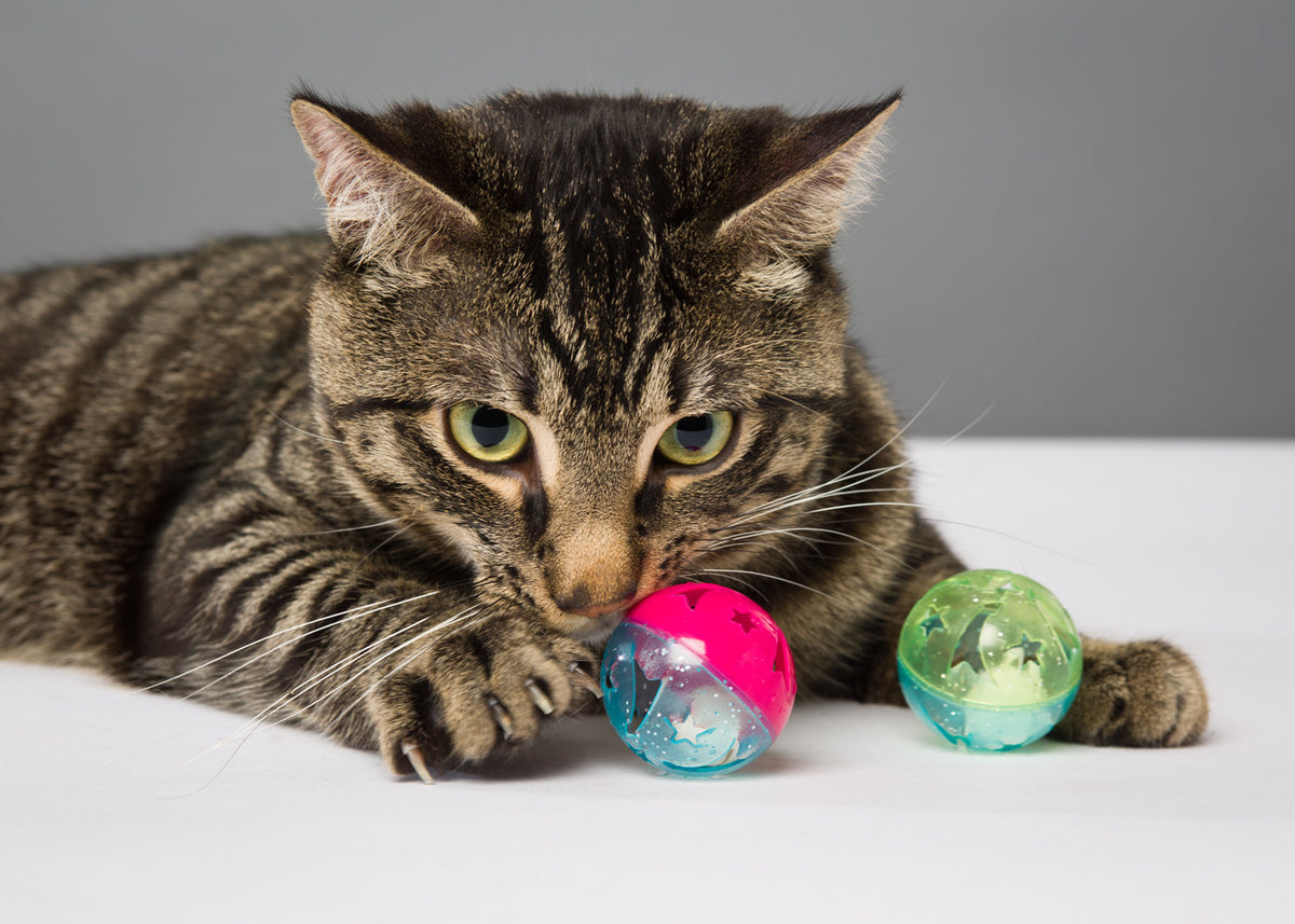 Hartz Just for Cats Bizzy Balls Cat Toy, 1ct — product image 4