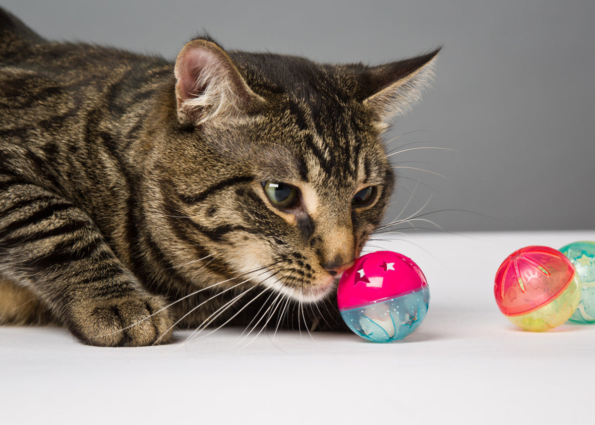 Hartz Just for Cats Bizzy Balls Cat Toy, 1ct — product image 5
