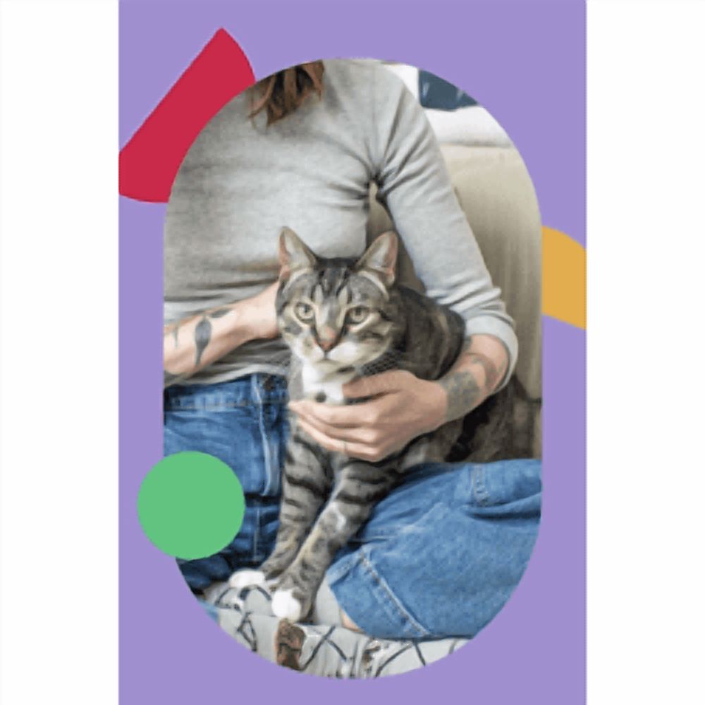 "I and love and you" Treat Meow Squeeze & Thank You Lickable Cat Treat Variety Chicken/Tuna — product image 7
