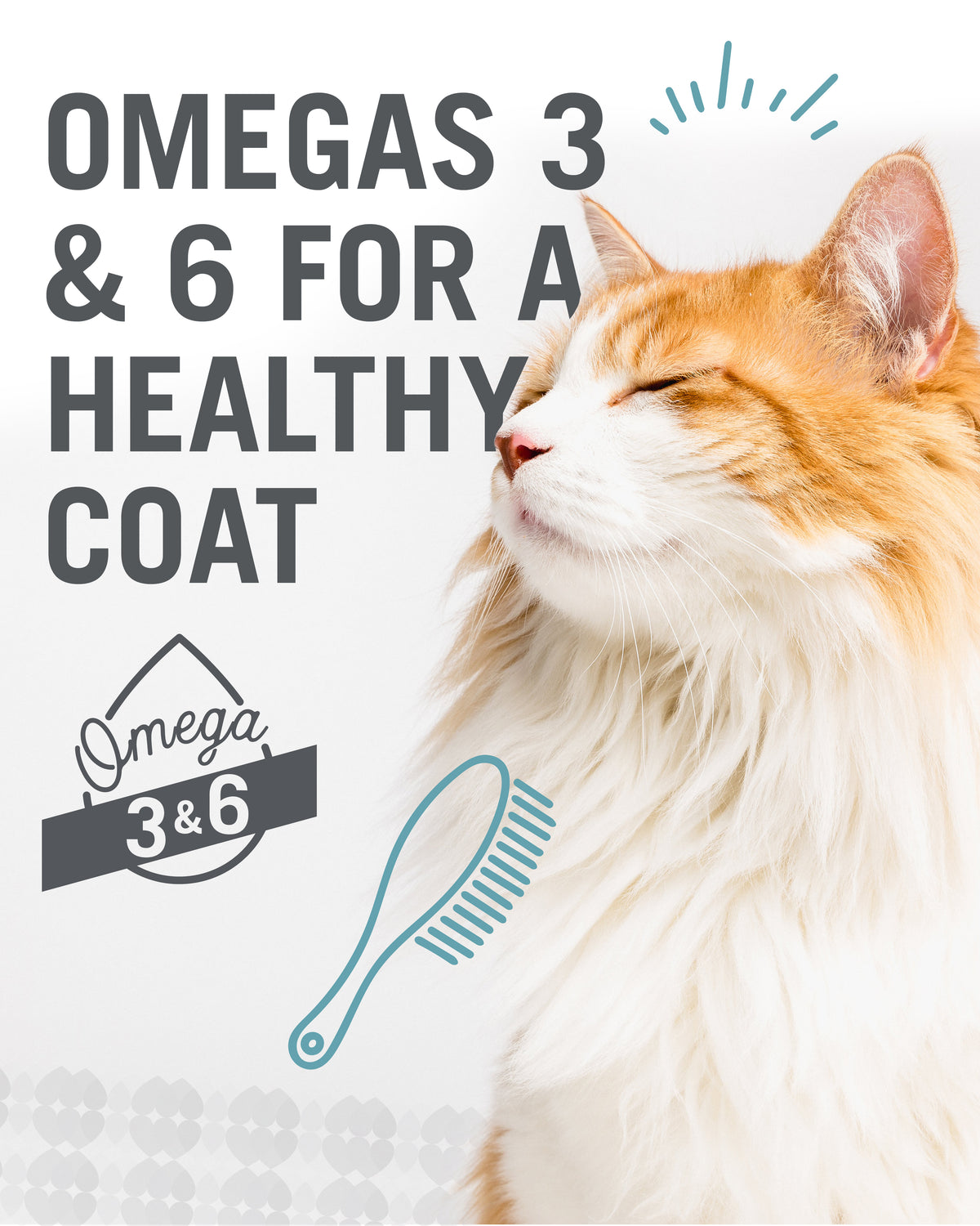 "I and love and you" Wet Cat Food Variety Pack; Chicky-Da-Lish, Salmon Chanted Evening, Tuna Fintastic — product image 6