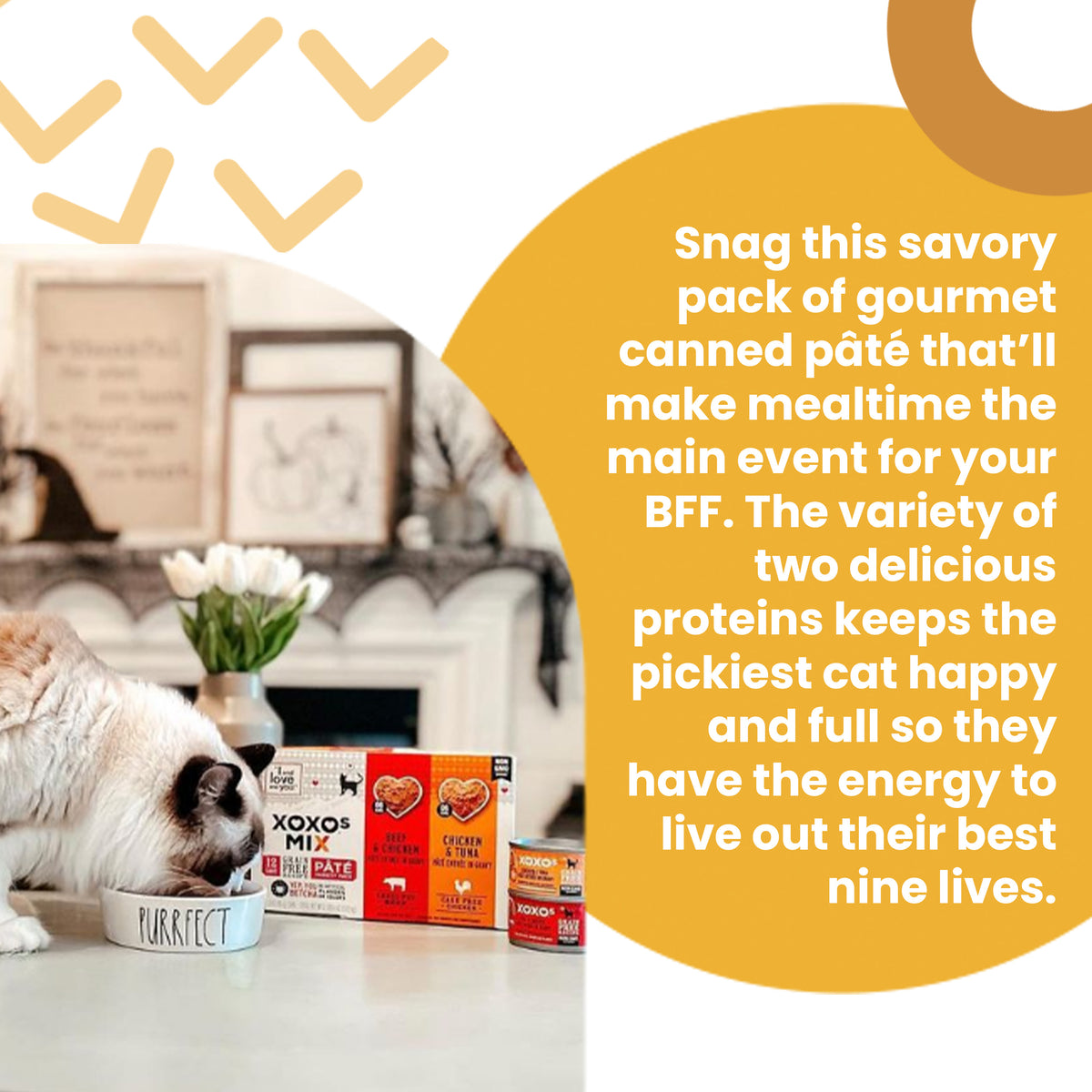 "I and love and you" XOXOs, Whitefish, and Tuna Pate' Canned Wet Cat Food — product image 3