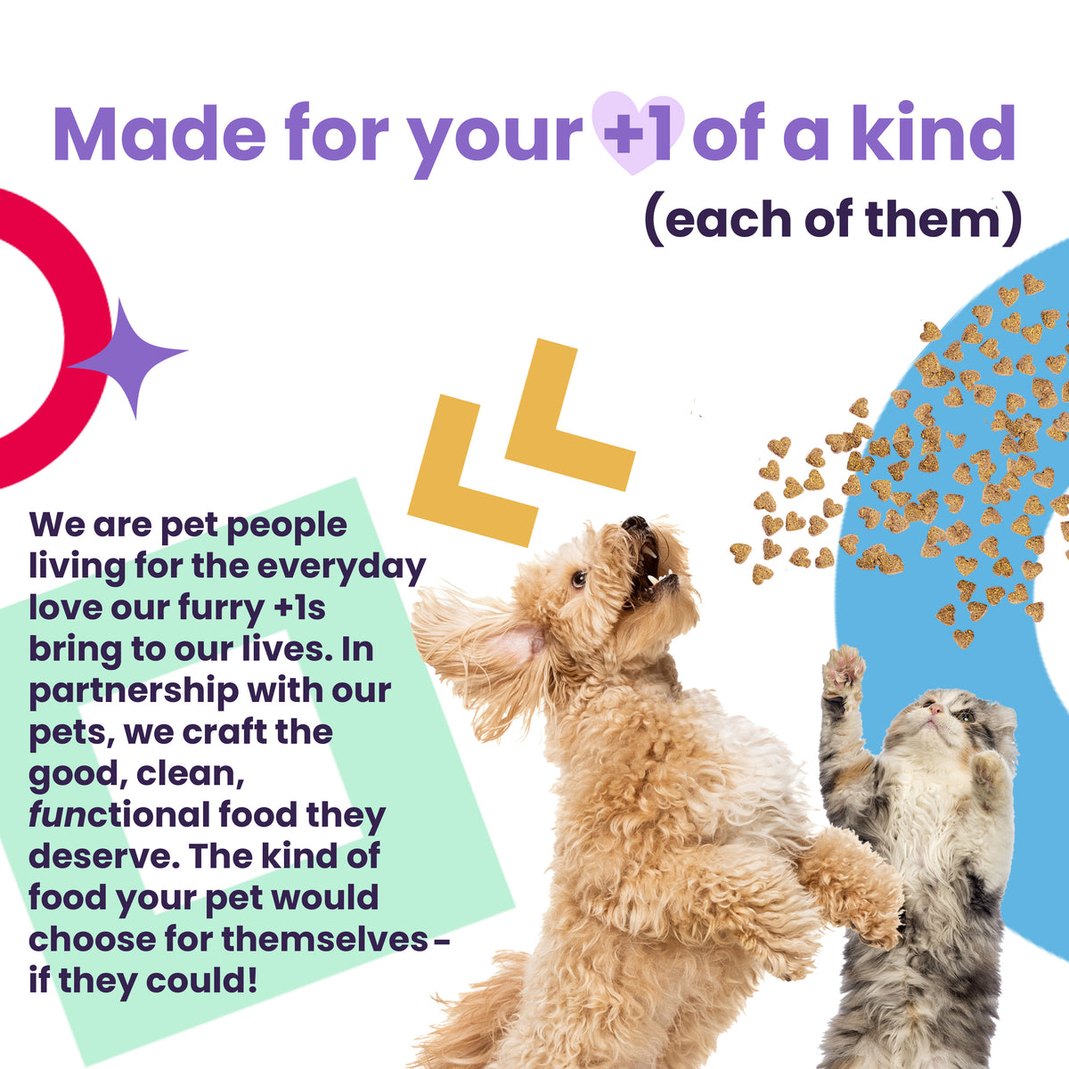 "I and love and you" XOXOs, Whitefish, and Tuna Pate' Canned Wet Cat Food — product image 5