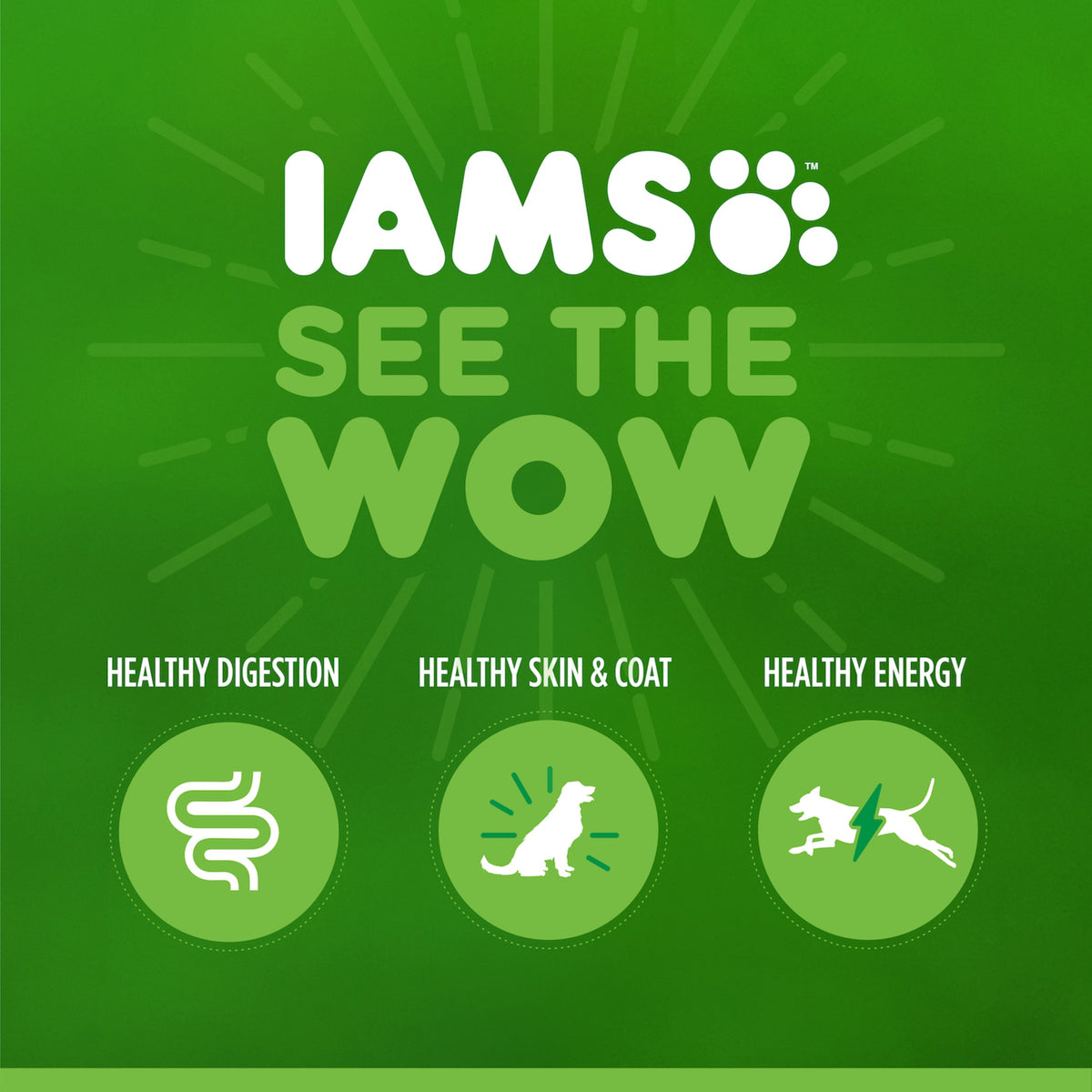 Iams Proactive Health Chicken Dry Cat Food For Kittens, 7 Lb Bag — product image 14