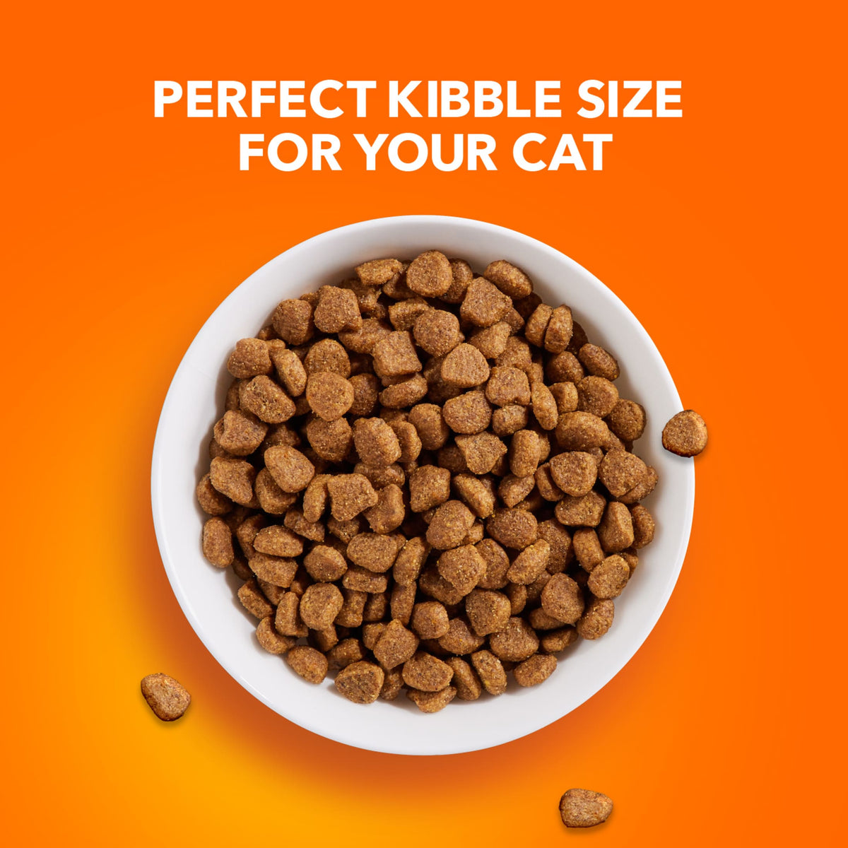 Iams Proactive Health Dry Cat Food, Chicken Flavor, 22 lb Bag — product image 11