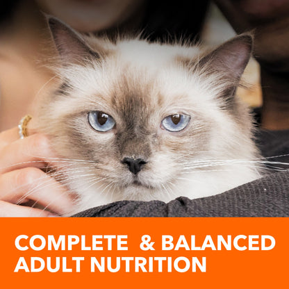 Iams Proactive Health Urinary Tract Health Chicken Dry Cat Food, 7 Lb Bag — product image 7