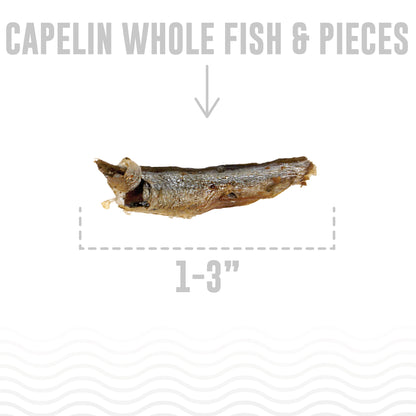 Icelandic+ Whole Fish & Pieces: Capelin - 1.5oz Bag- Cat Treats, Wild- Caught Air-Dried Fish, Single Ingredient Pet Snacks, Just The Fish Nothing Else — product image 3