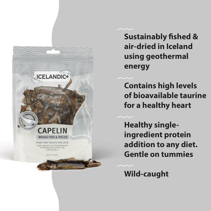 Icelandic+ Whole Fish & Pieces: Capelin - 1.5oz Bag- Cat Treats, Wild- Caught Air-Dried Fish, Single Ingredient Pet Snacks, Just The Fish Nothing Else — product image 5
