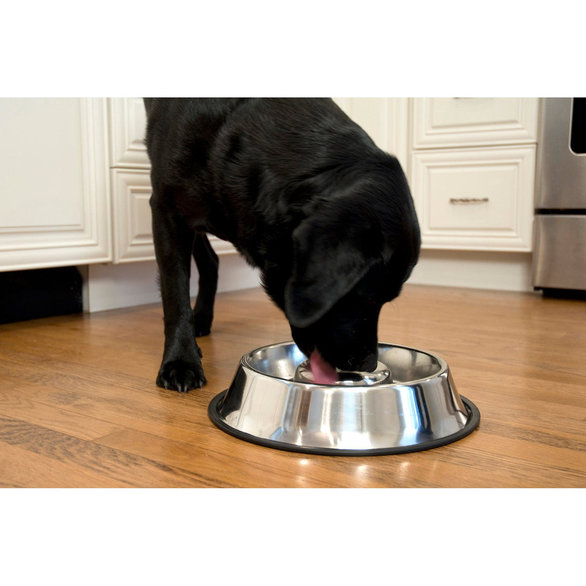 Iconic Pet  Slow Feed Stainless Steel Pet Bowl 6 cup — product image 3