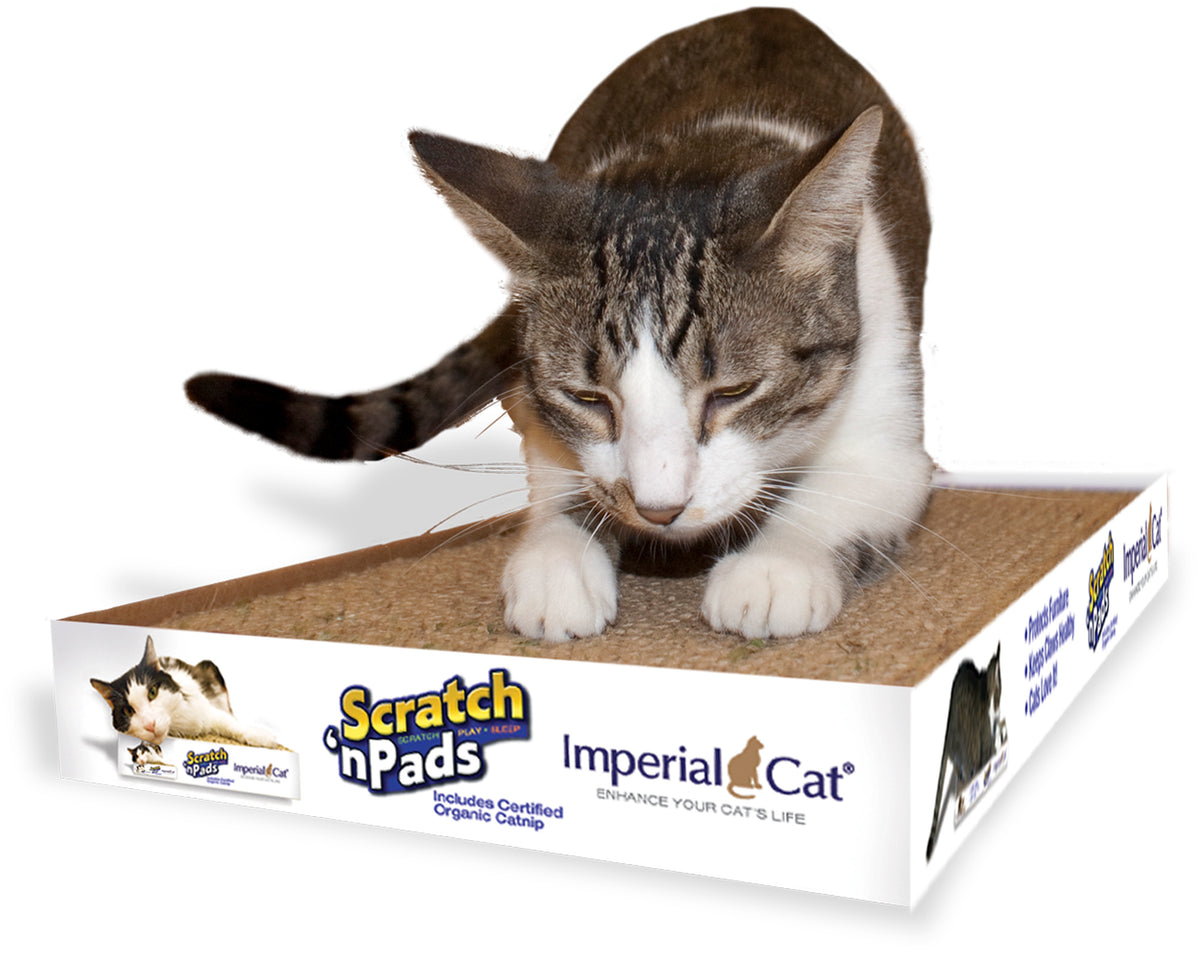 Imperial Cat Scratch 'n Pad Mega, Beige