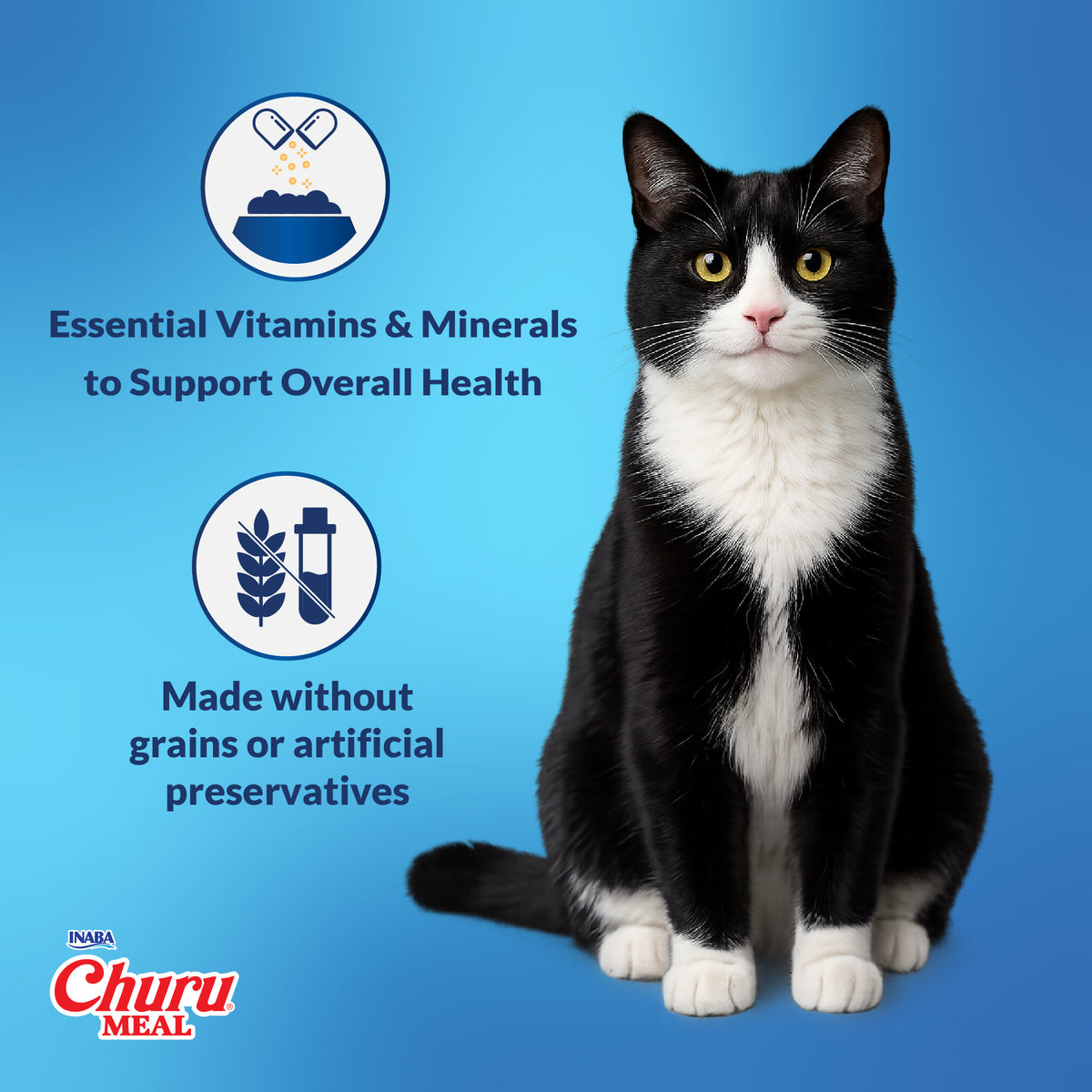 INABA Churu Meal Chowder Adult Wet Cat Food, 2.29 oz cup, 12-count, Chicken Variety Pack — product image 7