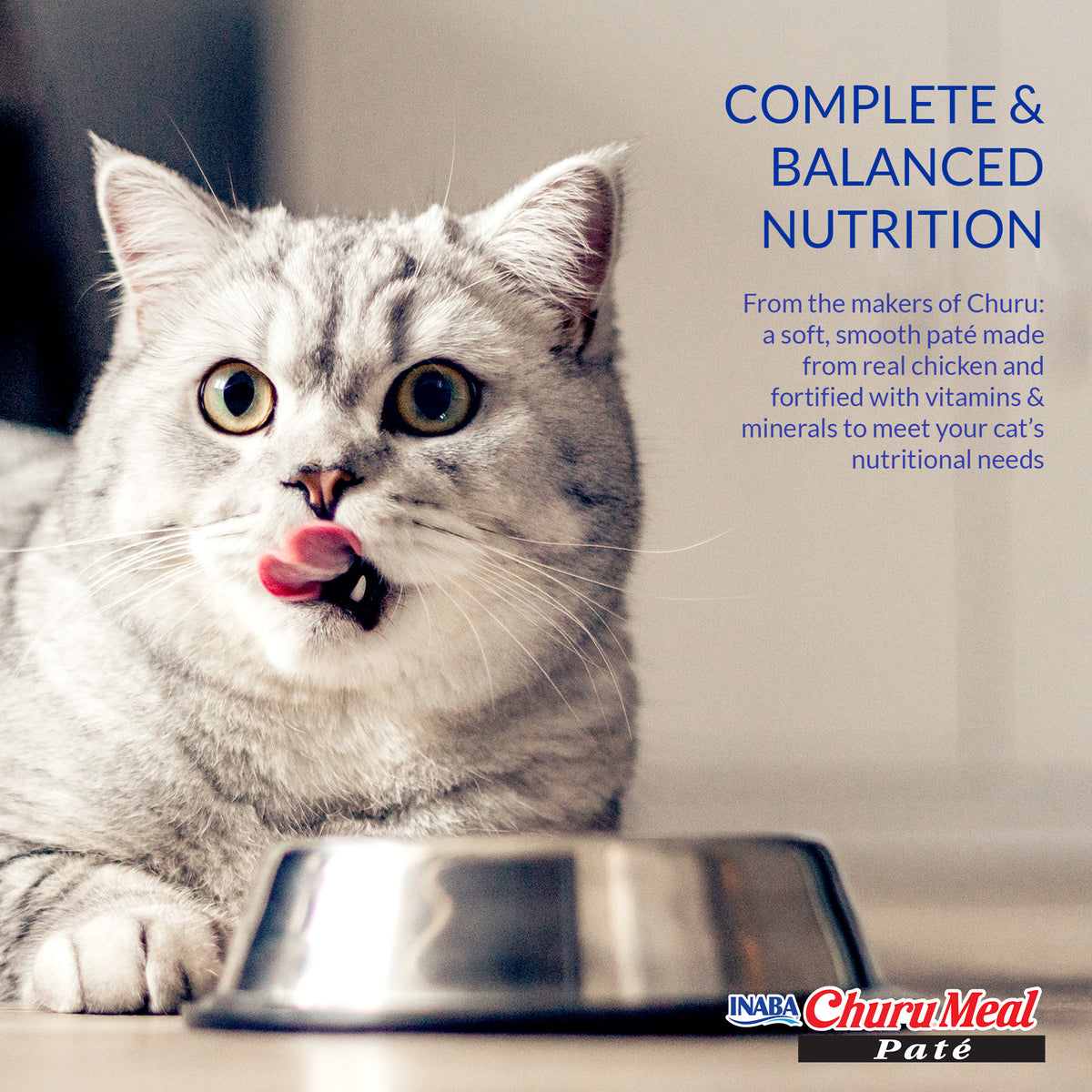 INABA Churu Meal Paté Adult Wet Cat Food, 2.29 oz cup, 12-count, Chicken Variety Pack — product image 4