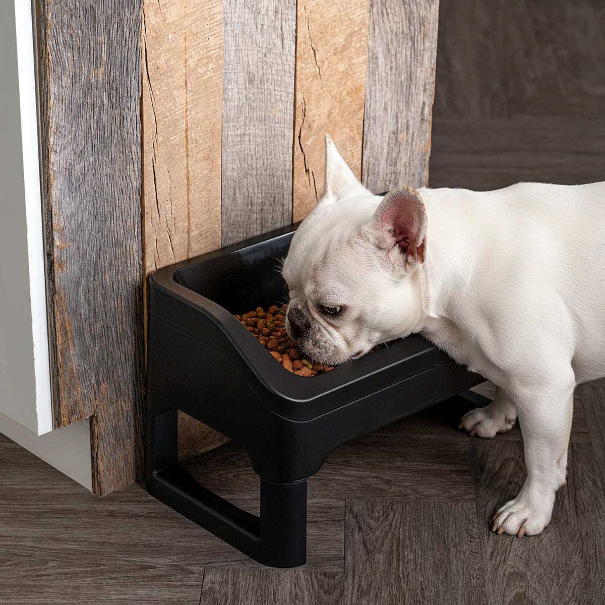 IRIS Adjustable Elevated Pet Feeder, Black, 2 Pk — product image 3