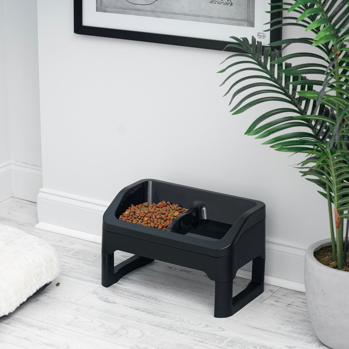 IRIS Adjustable Elevated Pet Feeder, Black, 2 Pk — product image 6