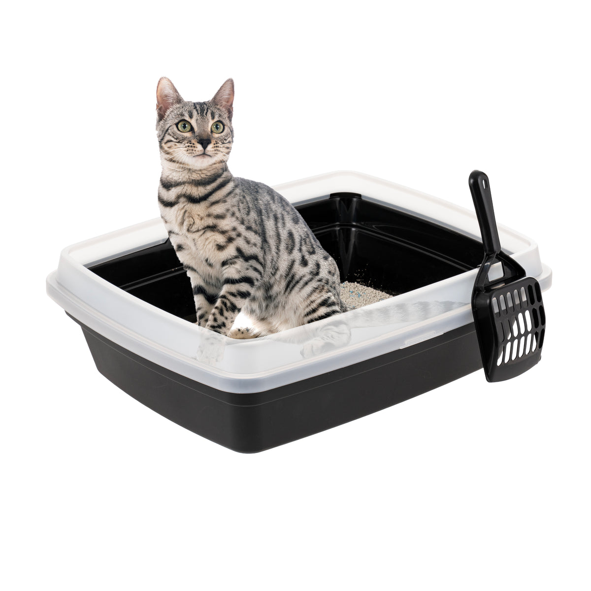 IRIS Open Top Cat Litter Box with Scoop, Plastic Pan , Black — product image 2
