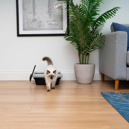IRIS Open Top Cat Litter Box with Scoop, Plastic Pan , Black — product image 3