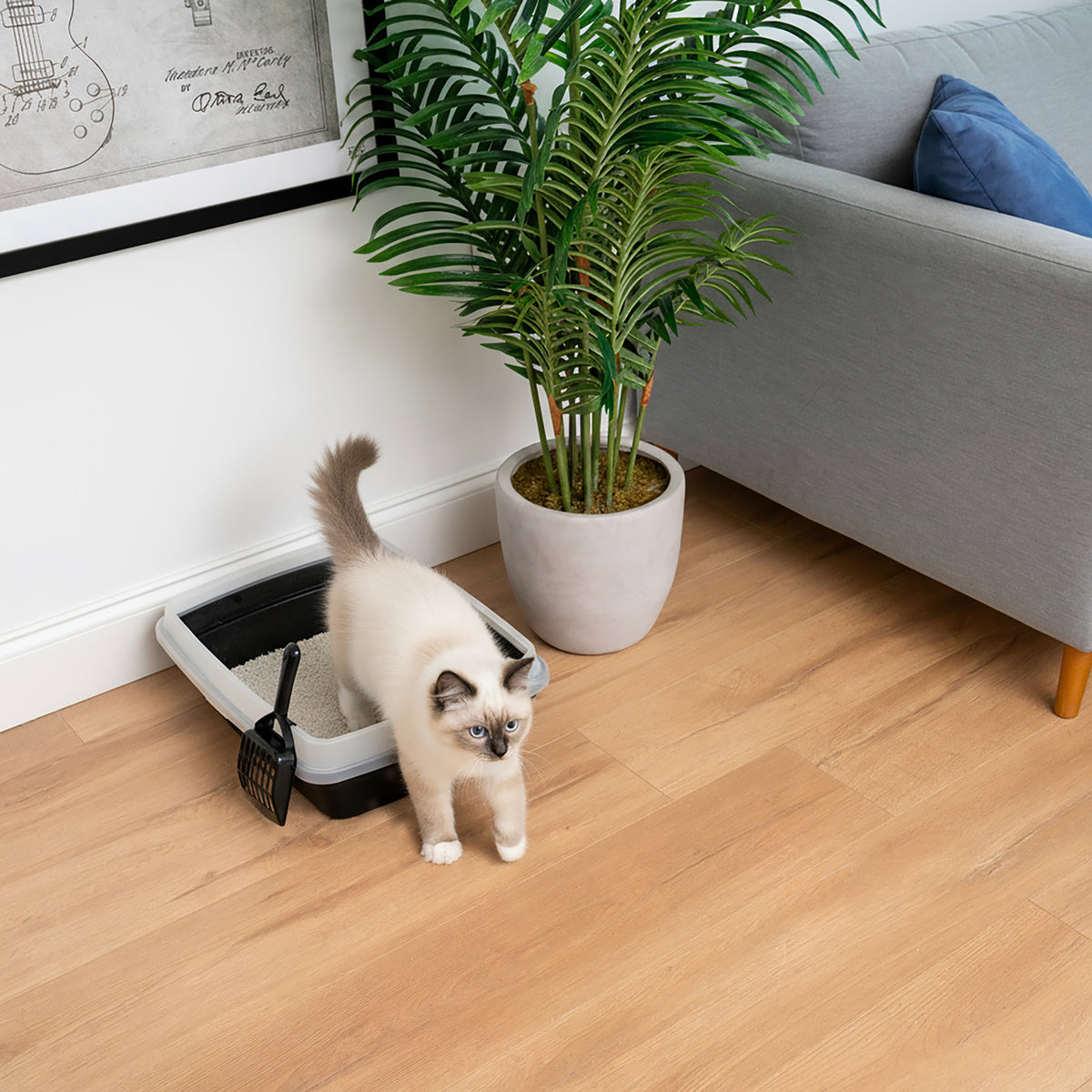 IRIS Open Top Cat Litter Box with Scoop, Plastic Pan , Black — product image 5