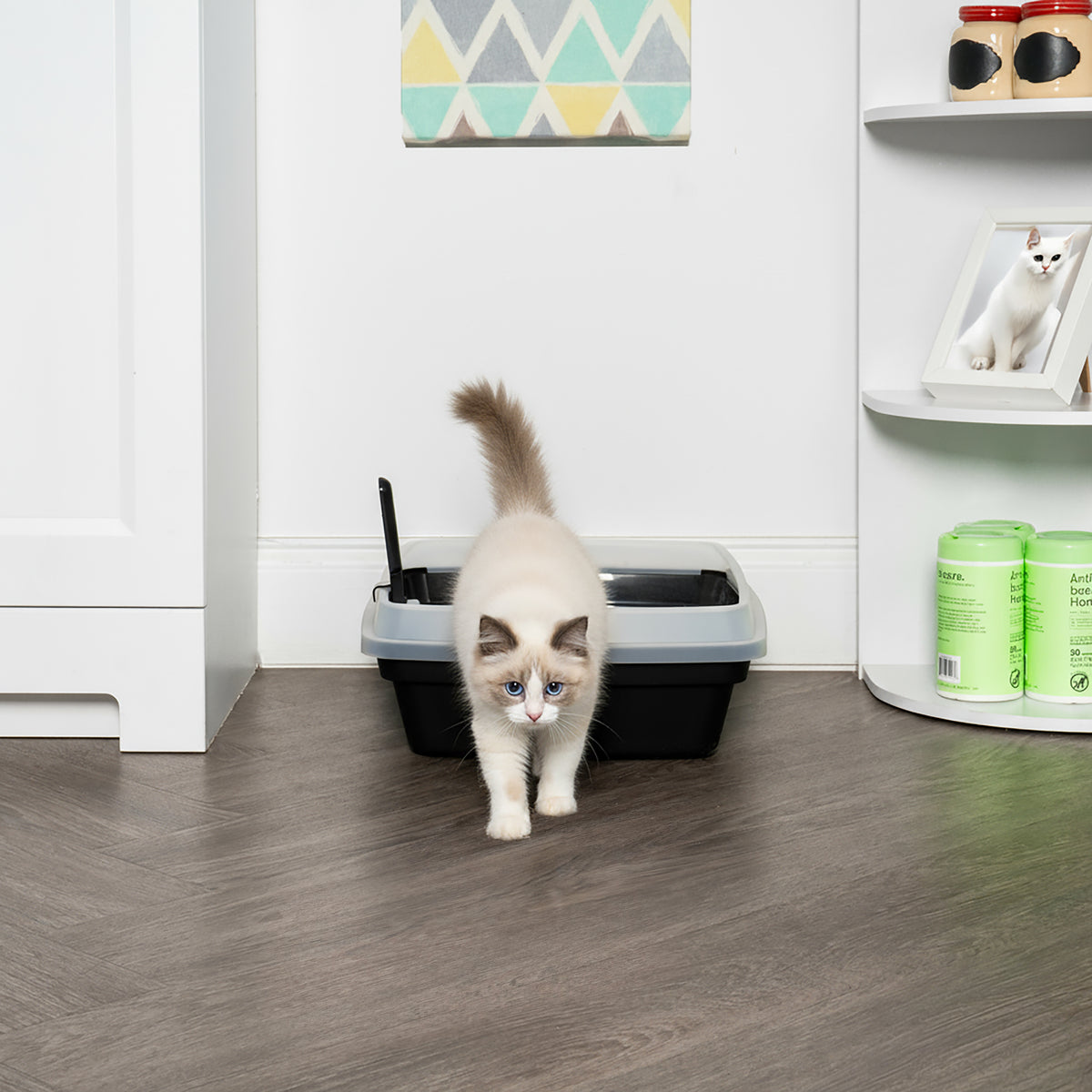 IRIS Open Top Cat Litter Box with Scoop, Plastic Pan , Black — product image 8