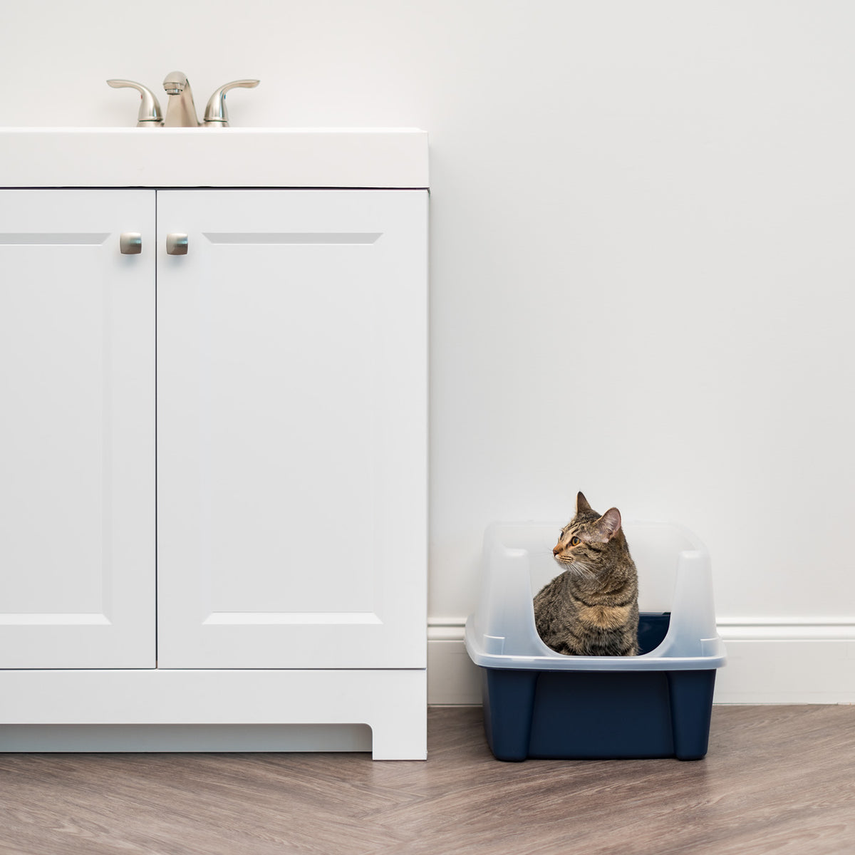 IRIS Open Top Cat Litter Box with Shield, Navy — product image 5