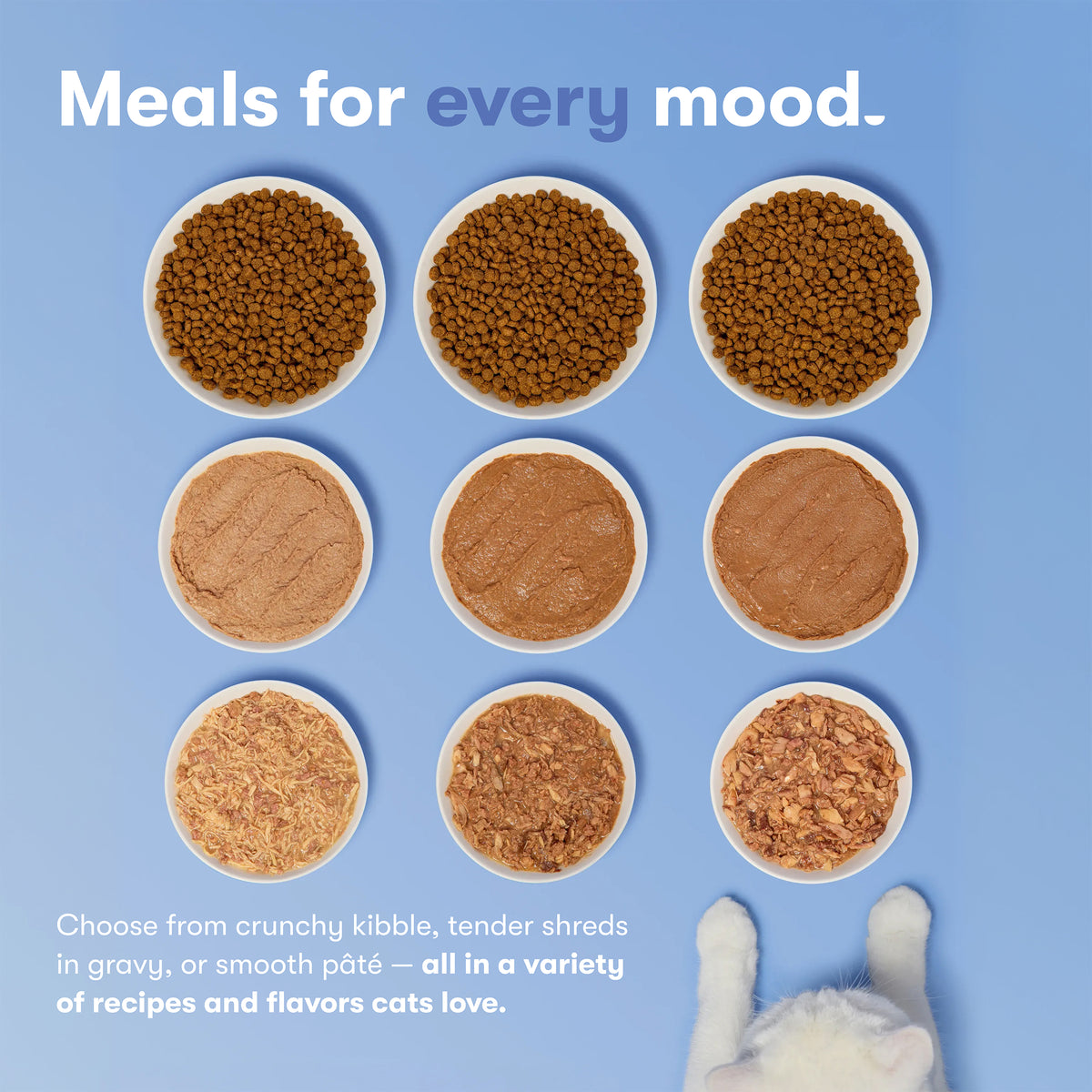 Jinx Paté Variety Pack Wet Cat Food with Cage-Free Chicken, Ocean Fish, Tuna & Salmon, 12 Count — product image 10