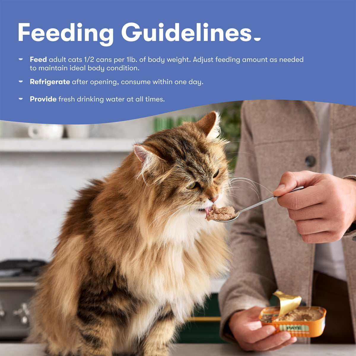 Jinx Paté Variety Pack Wet Cat Food with Cage-Free Chicken, Ocean Fish, Tuna & Salmon, 12 Count — product image 11