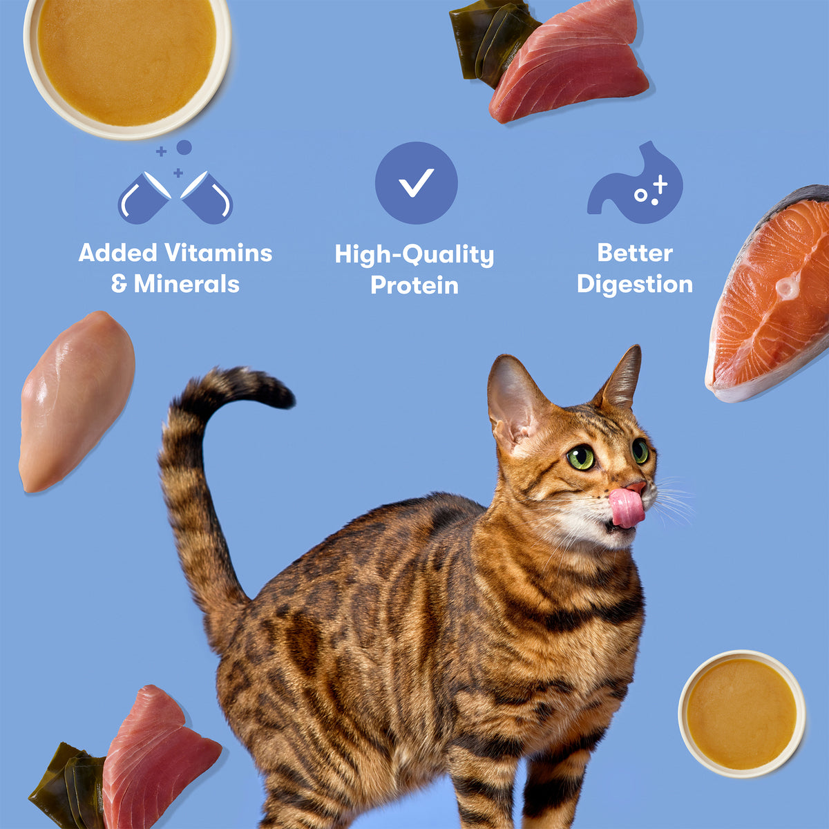 Jinx Paté Variety Pack Wet Cat Food with Cage-Free Chicken, Ocean Fish, Tuna & Salmon, 12 Count — product image 2