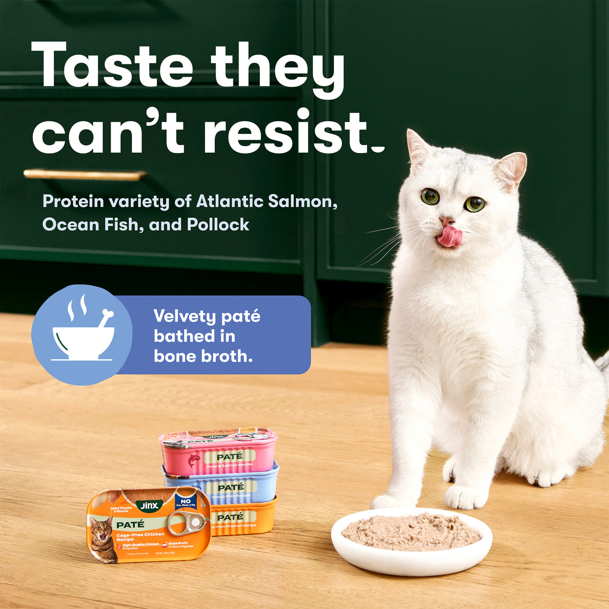Jinx Paté Variety Pack Wet Cat Food with Cage-Free Chicken, Ocean Fish, Tuna & Salmon, 12 Count — product image 3