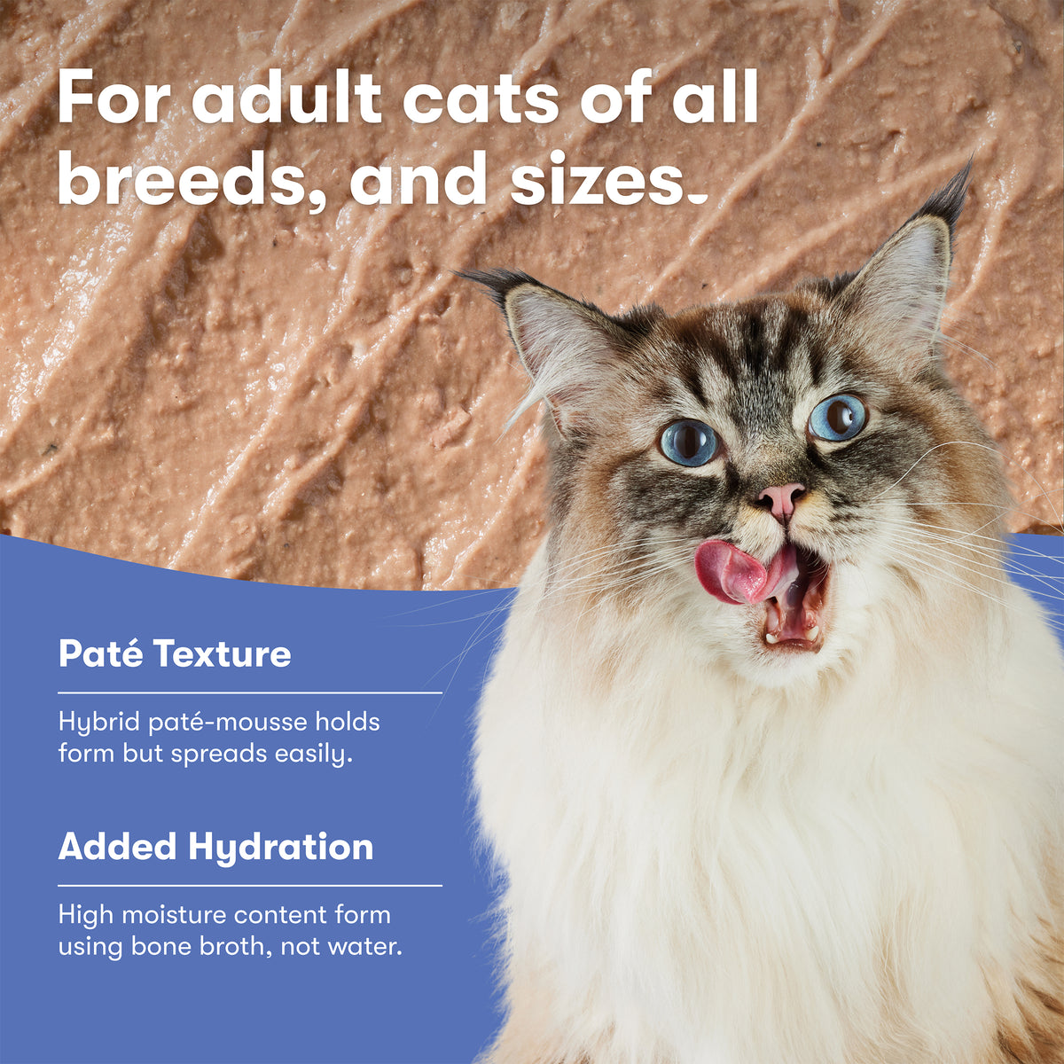 Jinx Paté Variety Pack Wet Cat Food with Cage-Free Chicken, Ocean Fish, Tuna & Salmon, 12 Count — product image 4
