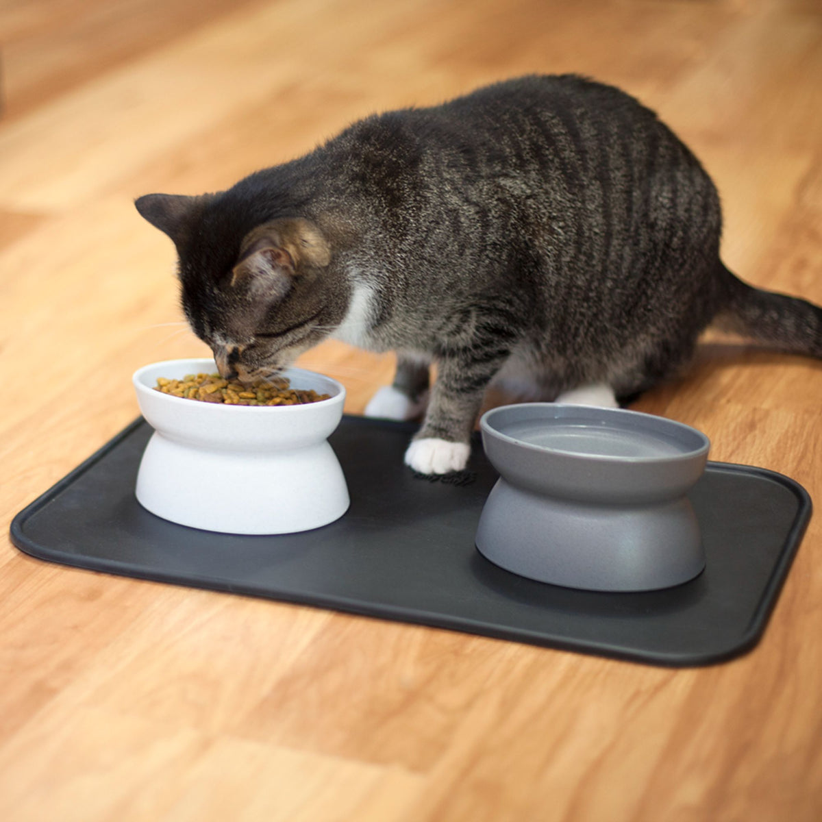 Kitty City Elevated Whisker-Friendly Cat Bowls, Dishwasher Safe Plastic with Non-Skid Placemat, 3-Pack — product image 5