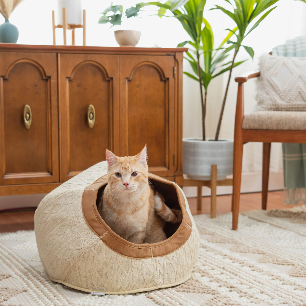 Kitty City Premium Cave Bed — product image 3