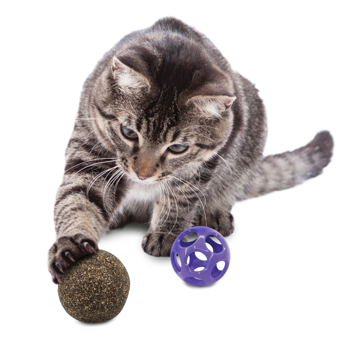 KONG® 2-in-1 Blissy Moon Ball Cat Toy with Premium North American Catnip — product image 2