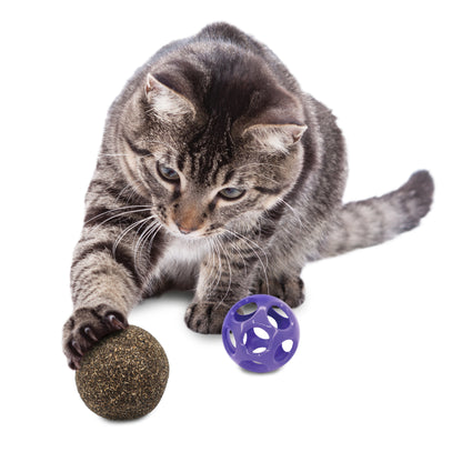 KONG® 2-in-1 Blissy Moon Ball Cat Toy with Premium North American Catnip — product image 2