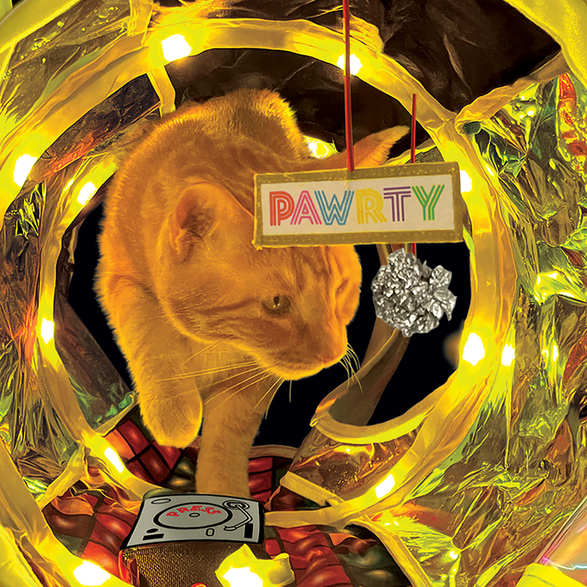 KONG® Play Spaces Rave Cave Cat Tunnel, Foldable Multi-Sensory Catnip Toy — product image 2