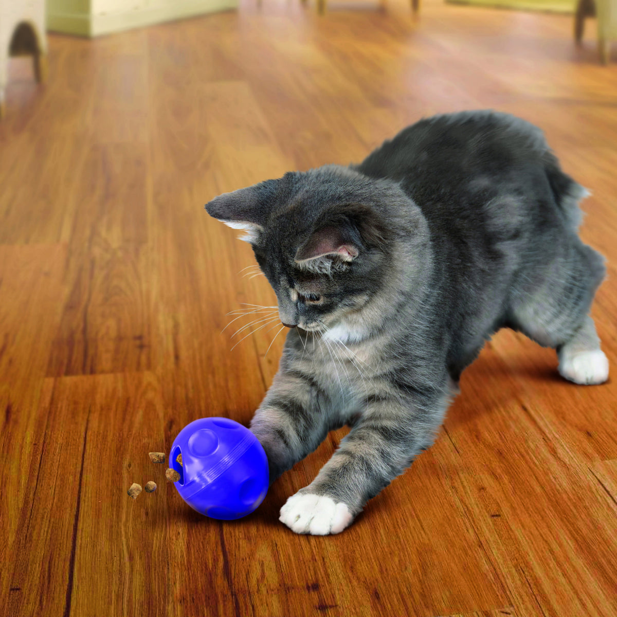 KONG® Treat Dispensing Ball for Cats — product image 2