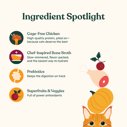 Made by Nacho Wet Cat Food, Cuts in Gravy, Limited Ingredients, Cage-Free Chicken Recipe with Bone Broth for Extra Hydration, 3 oz. Pouch, Limited Ingredients — product image 4