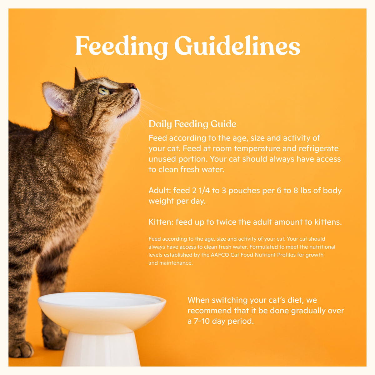 Made by Nacho Wet Cat Food, Cuts in Gravy, Limited Ingredients, Cage-Free Chicken Recipe with Bone Broth for Extra Hydration, 3 oz. Pouch, Limited Ingredients — product image 6