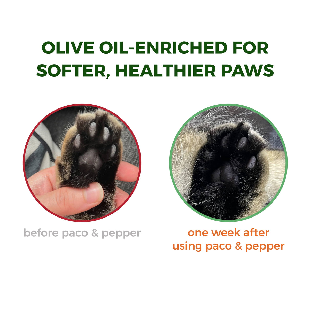 Made from Olive Pits 0% Dust Natural Unscented Clumping Multicat Formula Cat Litter, 25-lb bag — product image 4