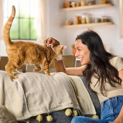 Meow Mix Original Choice Dry Cat Food, All Life Stages, Chicken, Turkey, Salmon & Ocean Fish Flavors, 30 lb Bag — product image 3