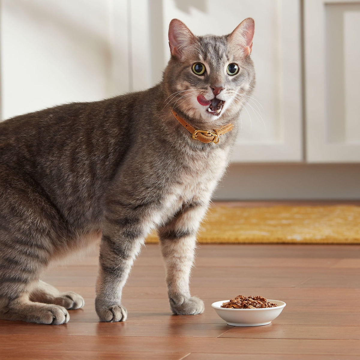 Meow Mix Tenders in Sauce Wet Cat Food Variety Pack With Poultry & Beef Favorites, 24 Cups, 2.75 oz Each — product image 3