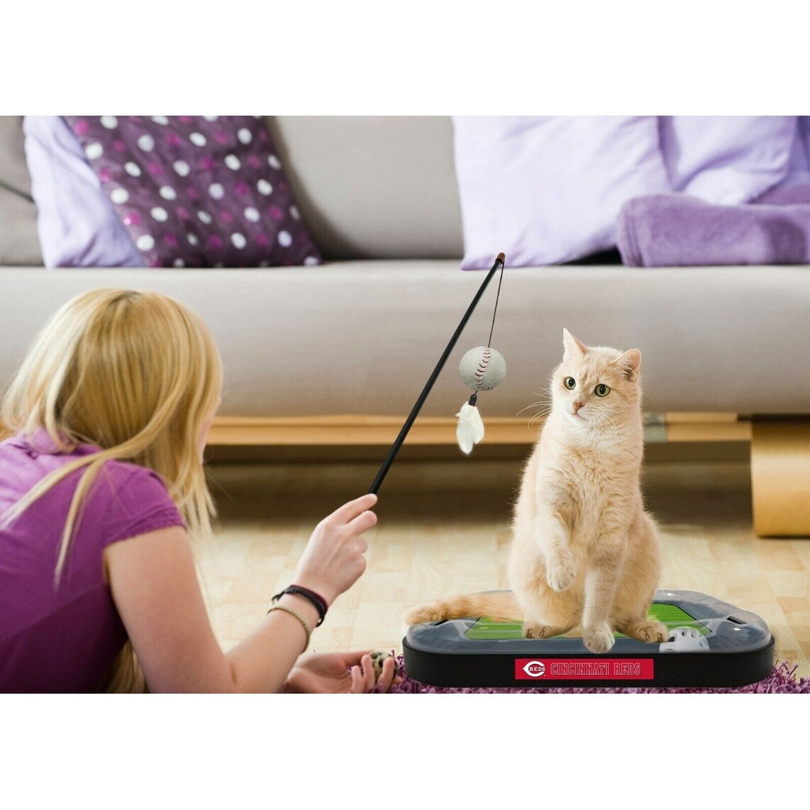 MLB Cincinnati Reds CAT Scratcher Mat Toy with Catnip Plush & Feather Cat Toy 5-in-1 Kitty Toy — product image 2