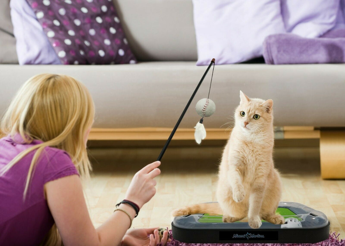 MLB Miami Marlins CAT Scratcher Mat Toy with Catnip Plush & Feather Cat Toy 5-in-1 Kitty Toy — product image 3