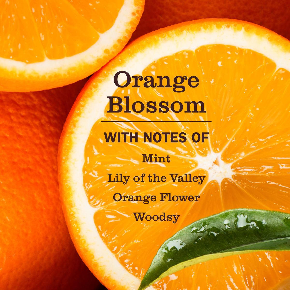 Mrs. Meyer's Clean Day Pet Stain & Odor Fighter,  Orange Blossom Scent, 16oz — product image 2