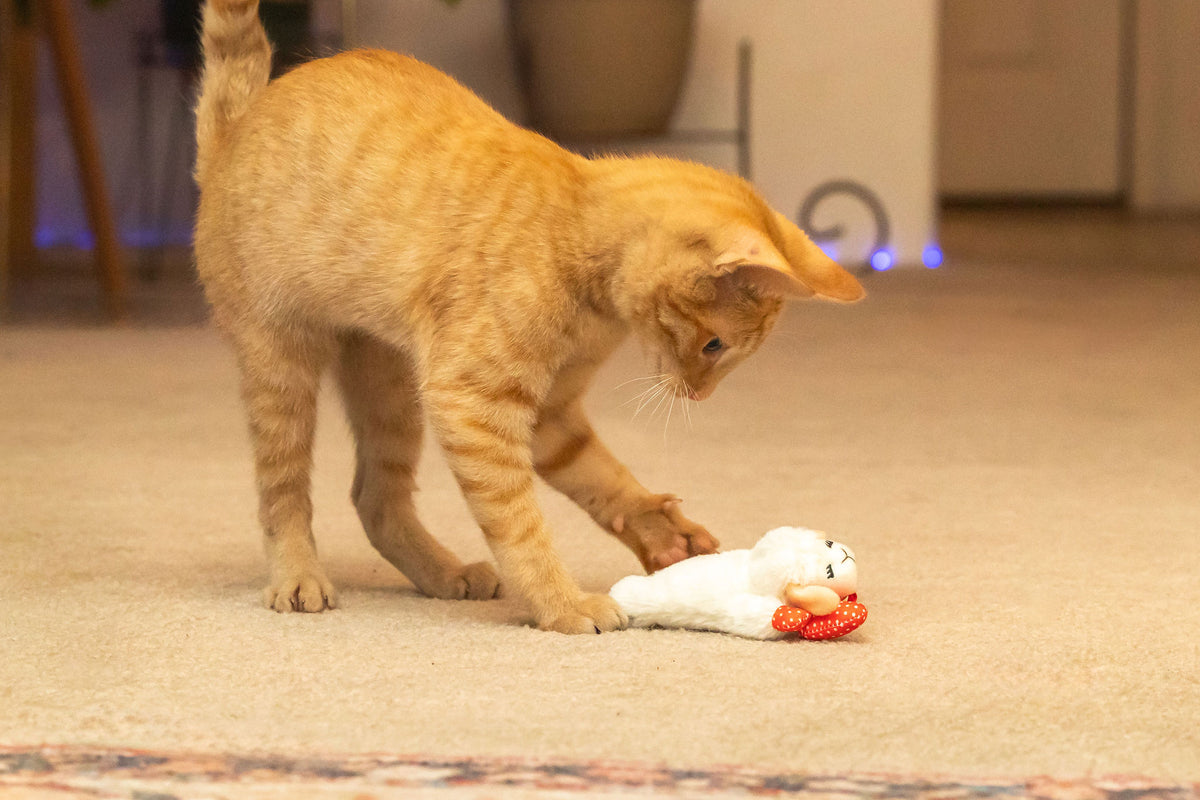Multipet Lamb Chop Cat Toy with Dangling Heart, Plush with Catnip and Crinkle — product image 10
