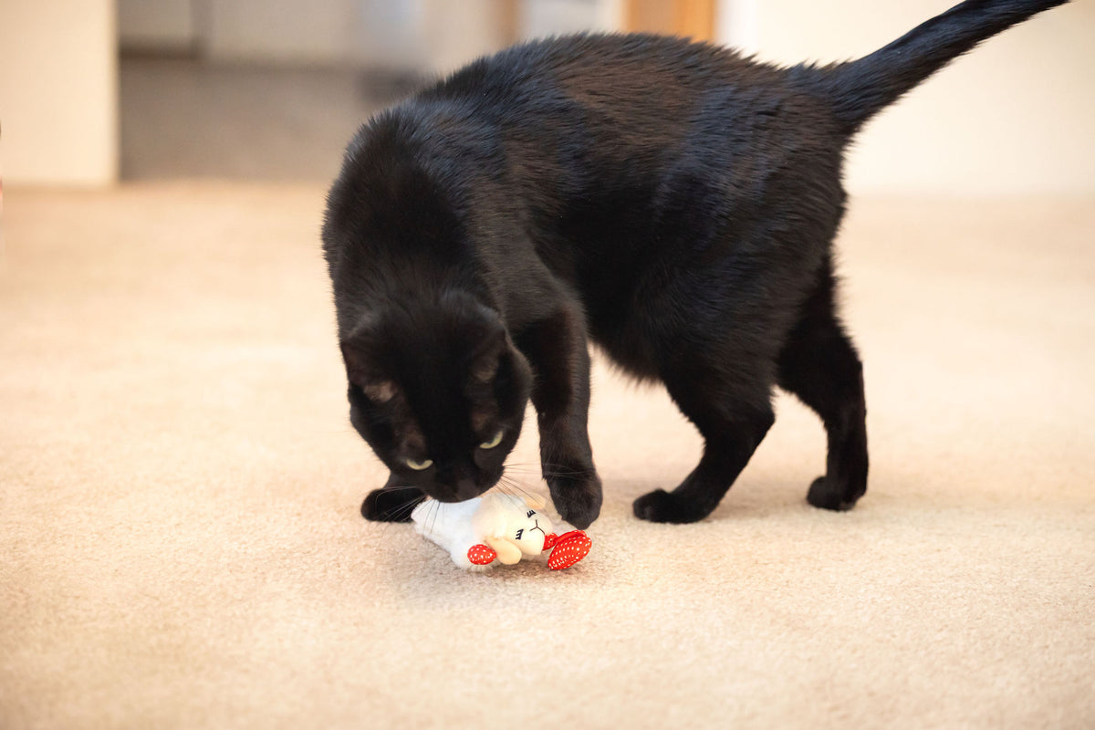 Multipet Lamb Chop Cat Toy with Dangling Heart, Plush with Catnip and Crinkle — product image 9