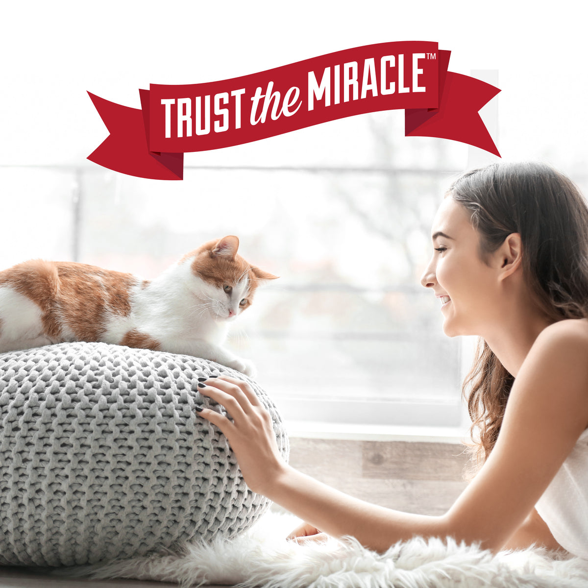 Nature’s Miracle Oxy Formula Set-In Stain Destroyer for Cats, Orange Scent, 24 oz — product image 9