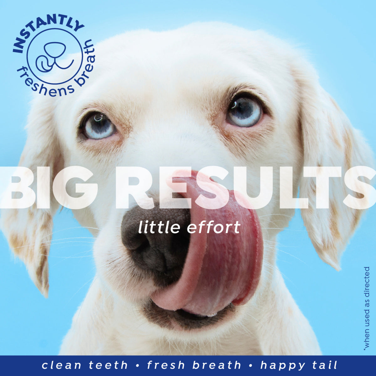 Naturel Promise Fresh Dental Dog Breath Freshener Spray Dogs & Cats, 4 oz Bottle — product image 5